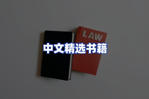 中文精选书籍
